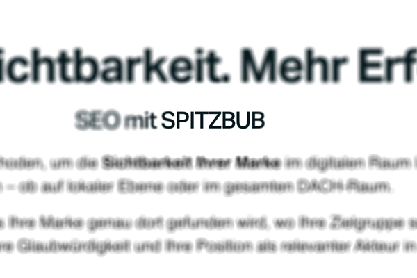 Was ist ein Fokus Keyword?