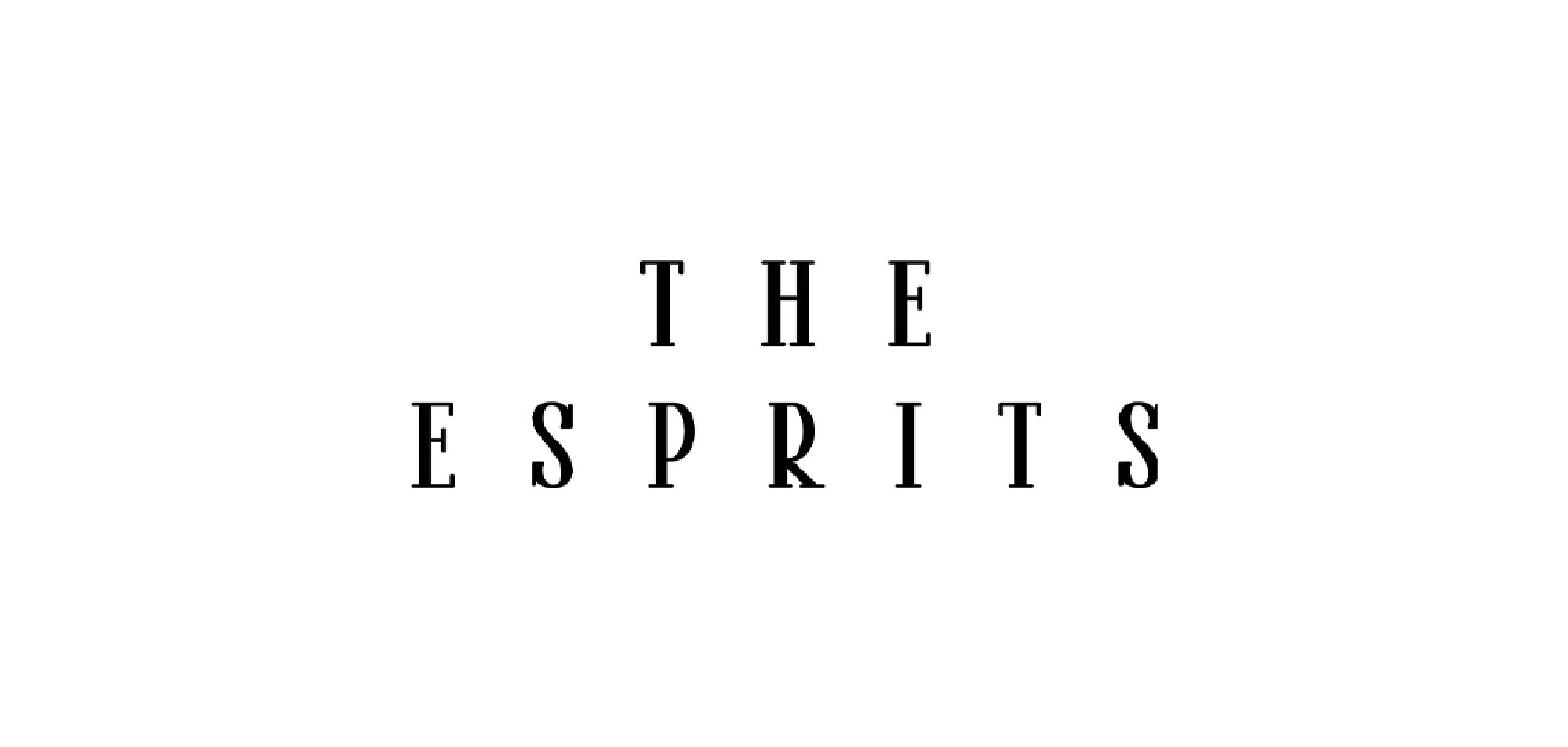 The Esprits - Außendarstellung, Corporate Identity, Webdesign und Shop