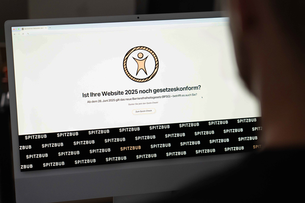 auf einem Bildschirm ist der Spitzbub Barrierefreiheit Quick-Check geöffnet